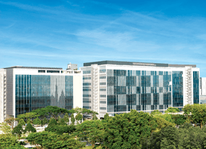 Architecture, Building, Office Building